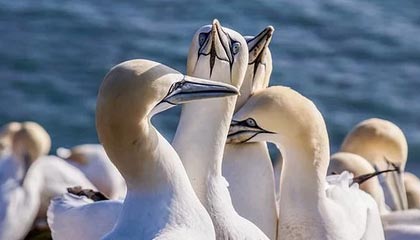 海宁最新的高价医保个人账户余额微信查询方法分享(海宁医保查询个人账户明细怎么查微信教程)