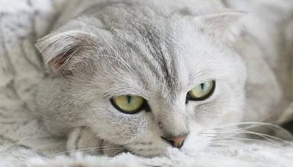 海宁最新的高价医保卡惠民保险代扣怎么取消掉了方法分享(海宁惠民医保怎么报销教程)