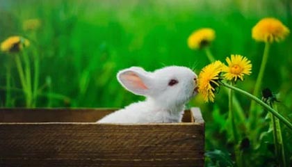 海宁最新的高价找中介取公积金违法吗方法分享(海宁中介取公积金怎么收费教程)